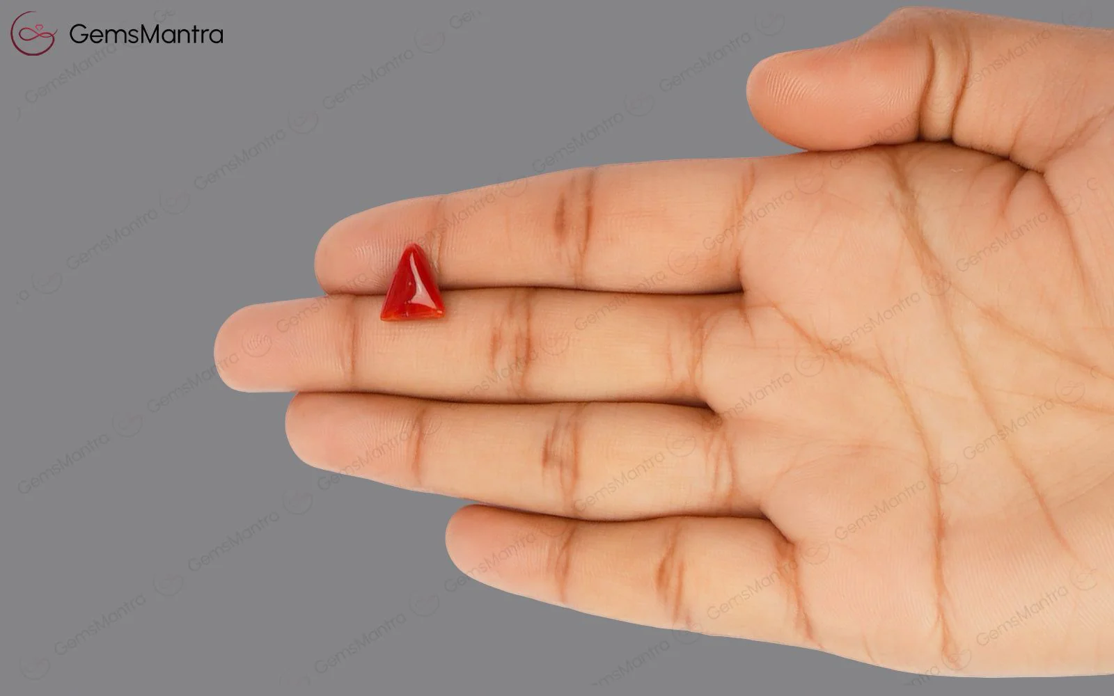 Red Coral - 2.89 Carats - Image 3