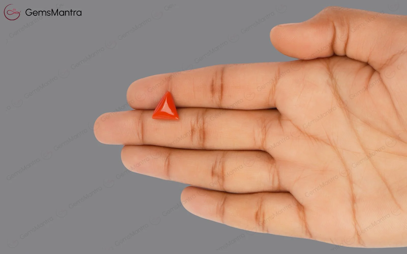 Red Coral - 3.56 Carats - Image 3