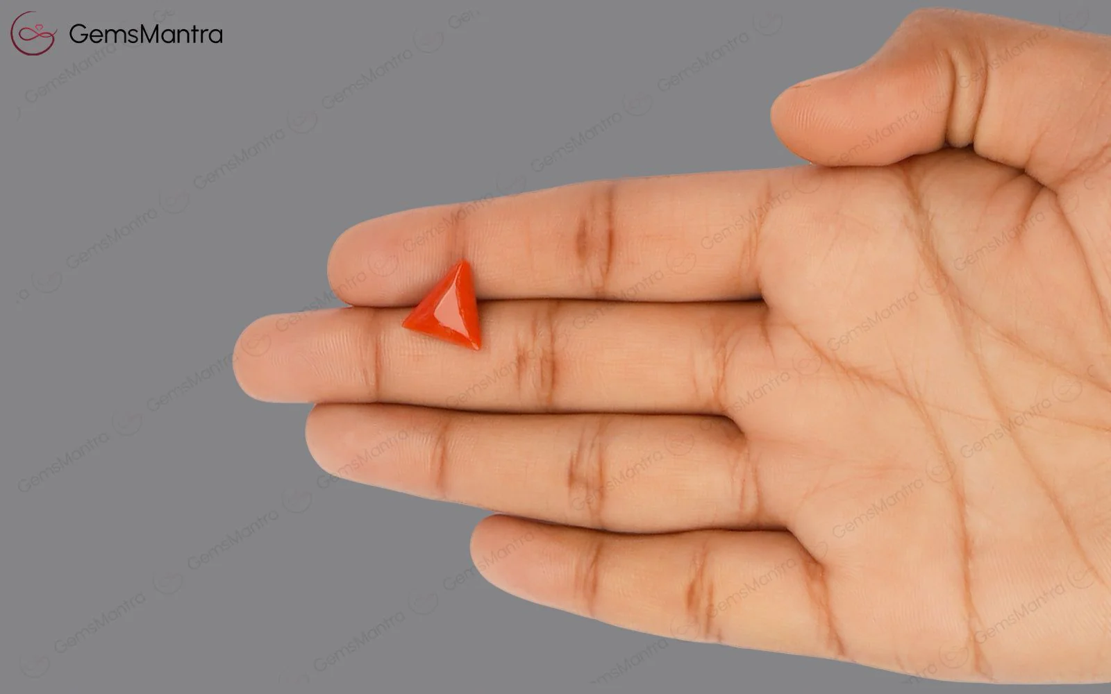 Red Coral - 3.66 Carats - Image 3