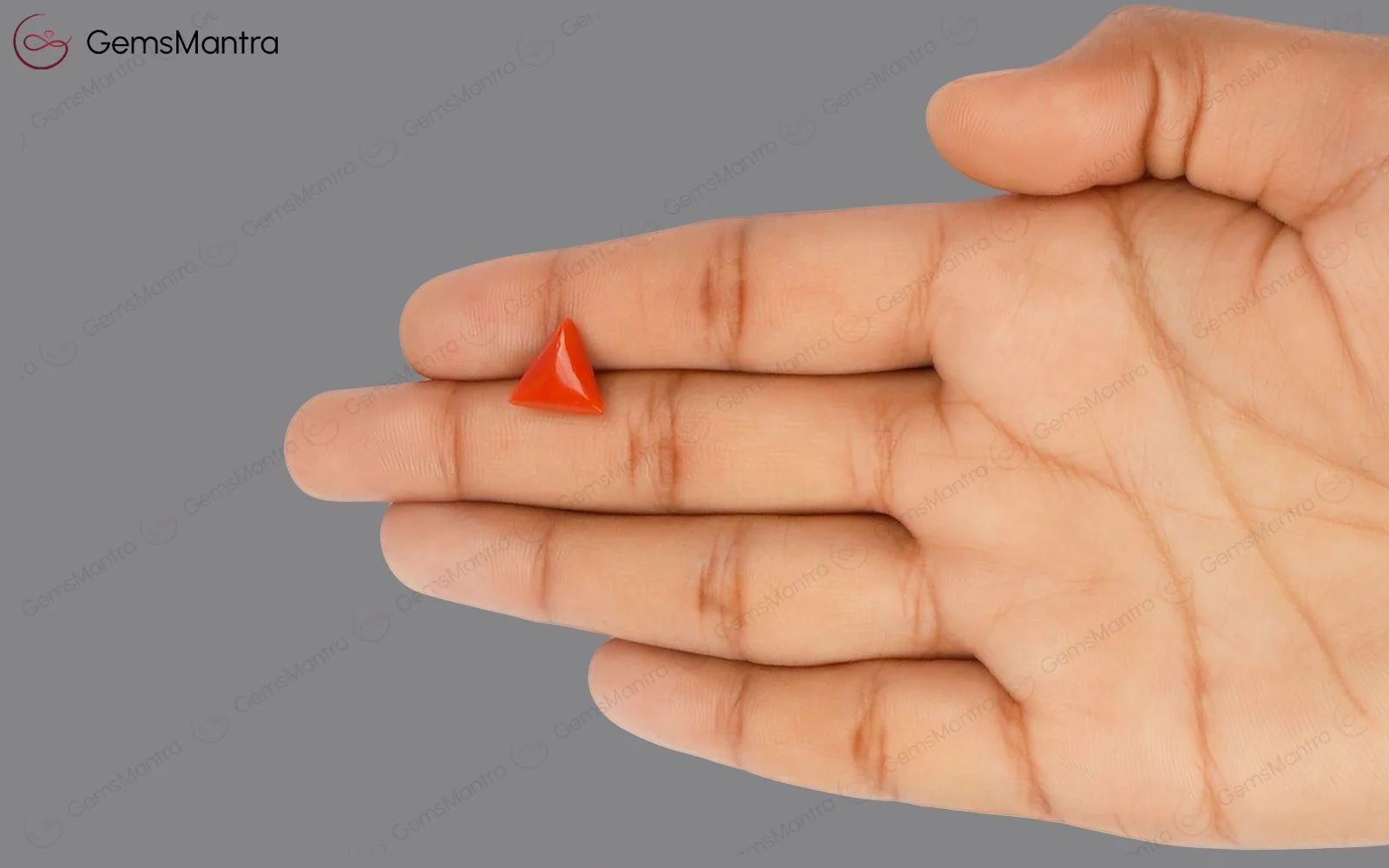 Red Coral - 3.58 Carats - Image 3