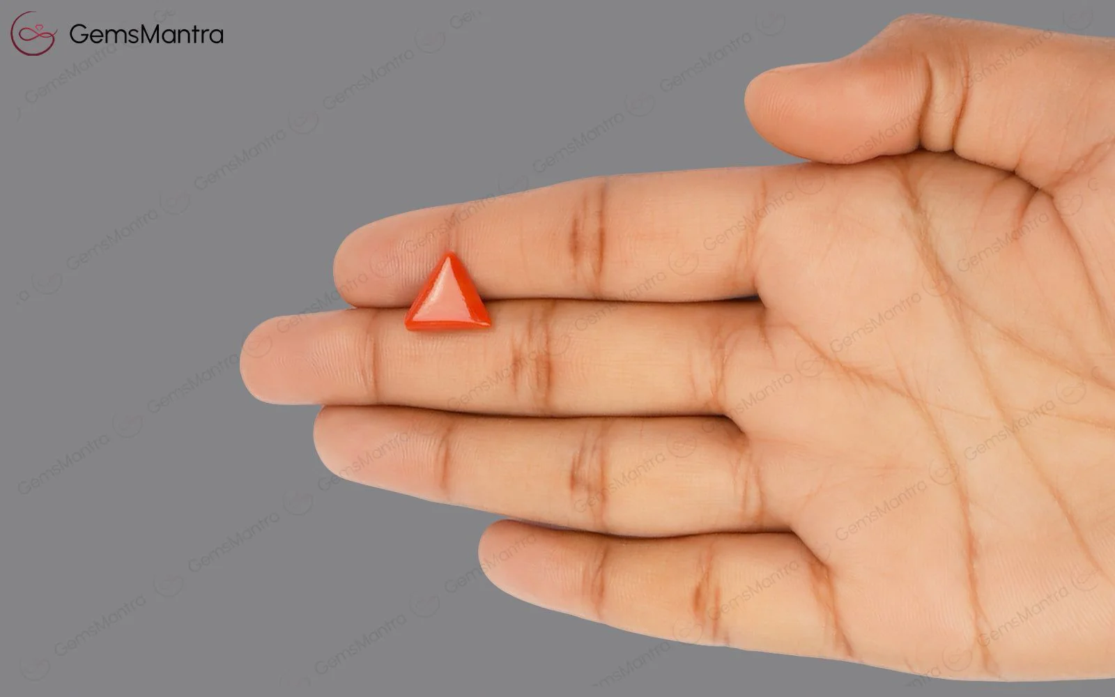 Red Coral - 3.34 Carats - Image 3