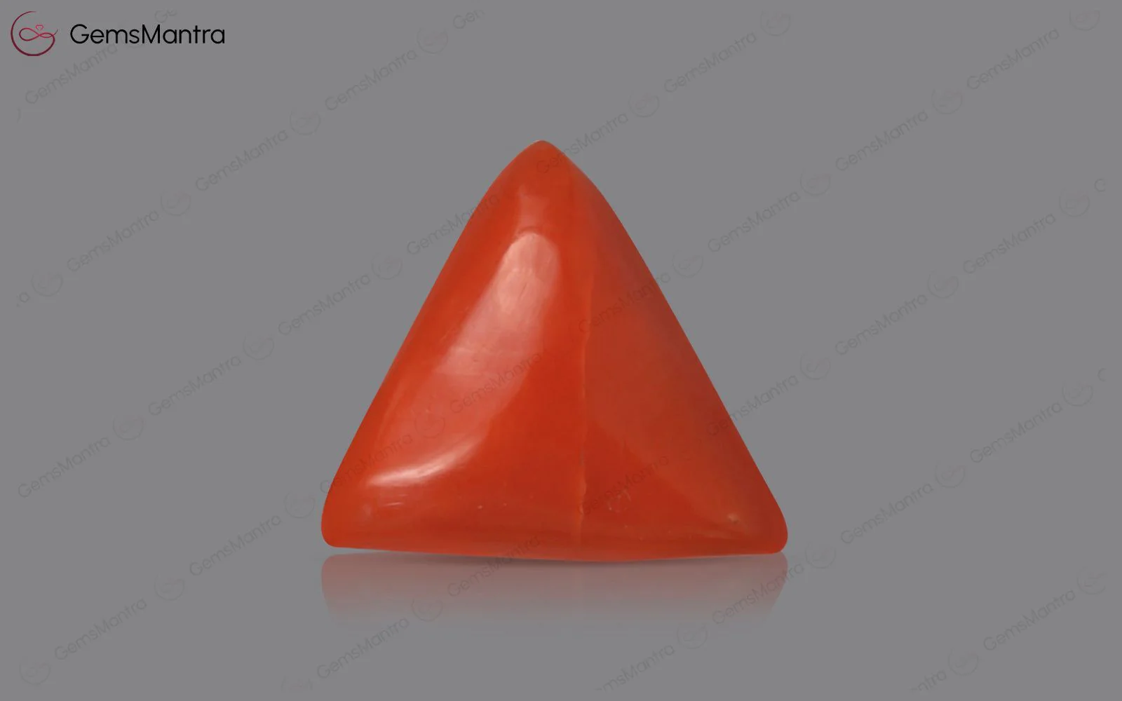 Red Coral - 3.45 Carats - Image 2