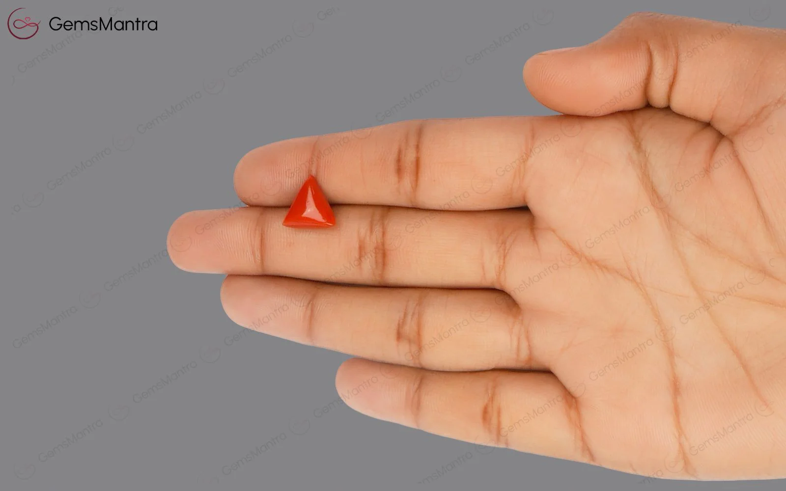 Red Coral - 3.45 Carats - Image 3
