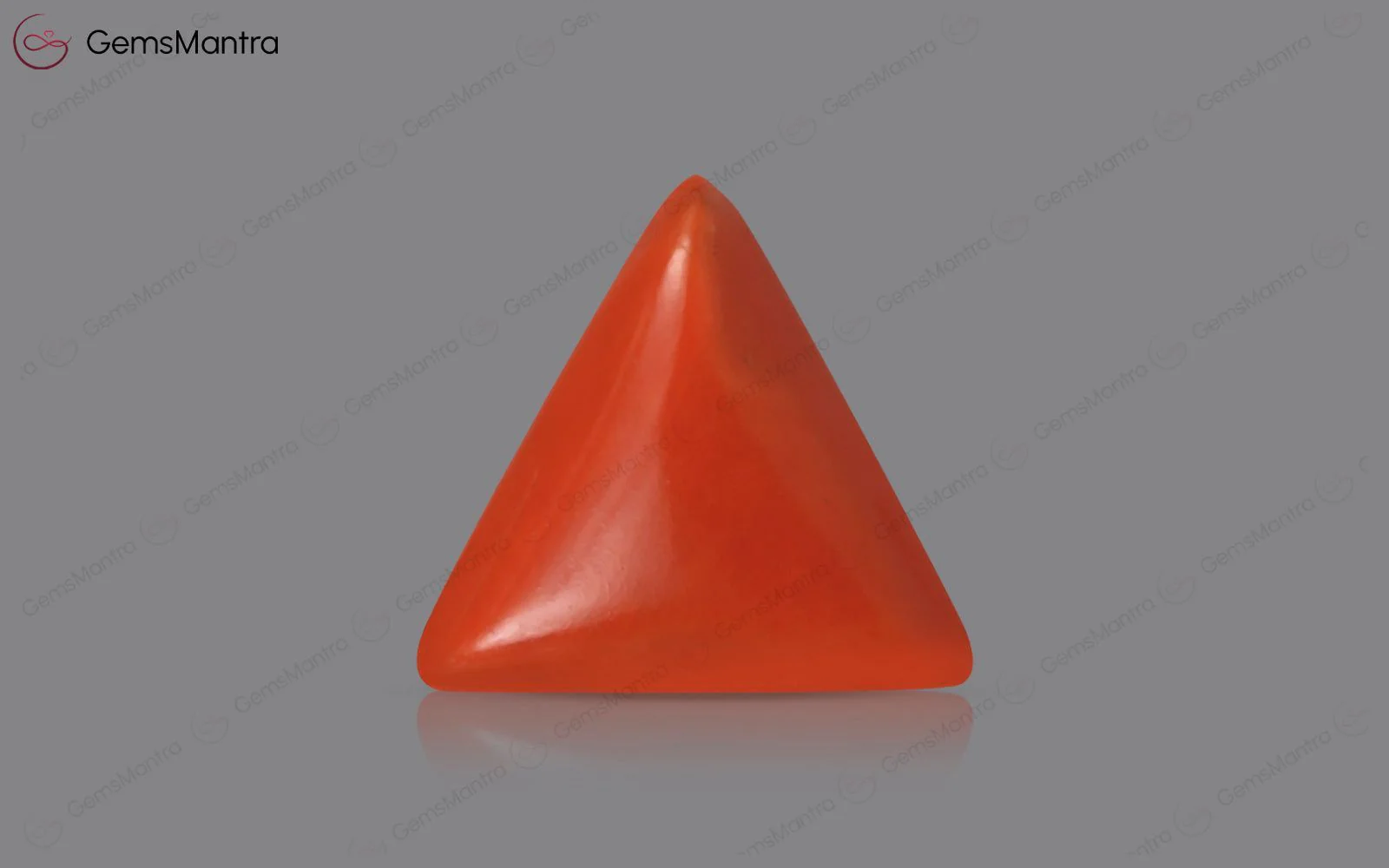 Red Coral - 3.21 Carats - Image 2