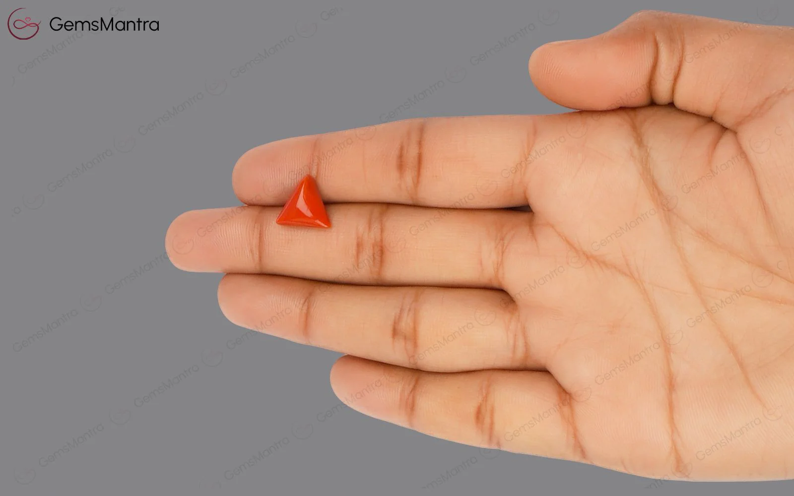 Red Coral - 3.21 Carats - Image 3