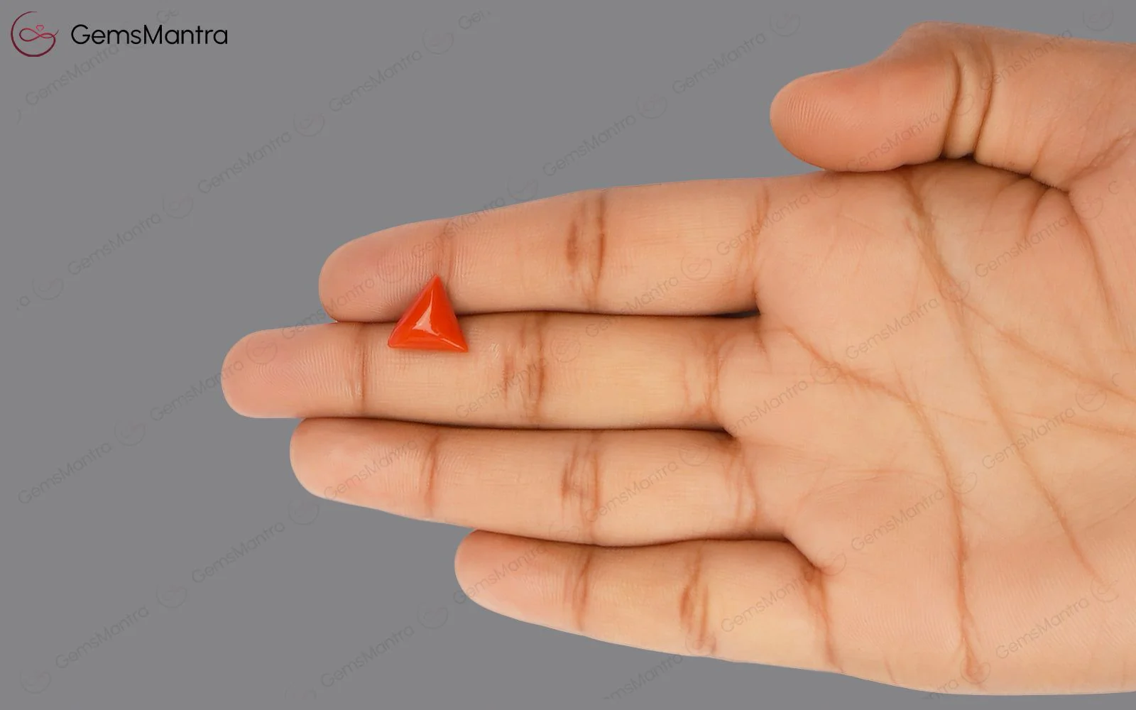 Red Coral - 3.63 Carats - Image 3