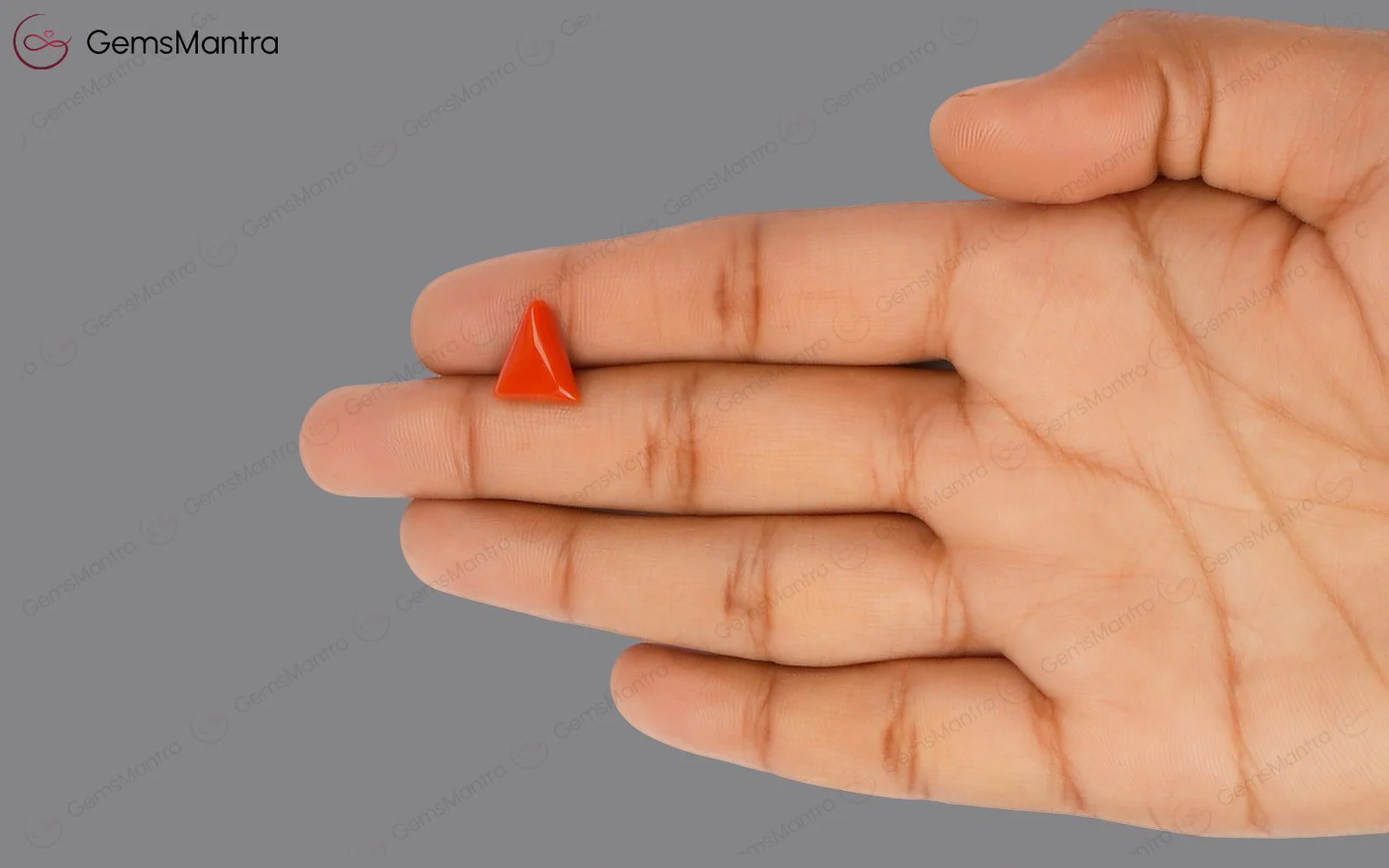 Red Coral - 3.62 Carats - Image 3