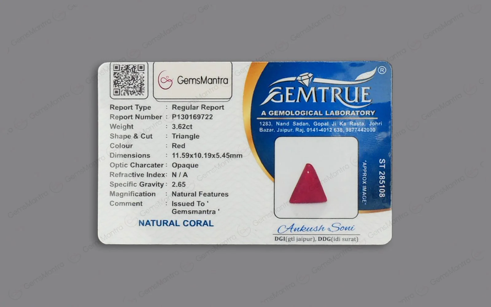Red Coral - 3.62 Carats - Image 4