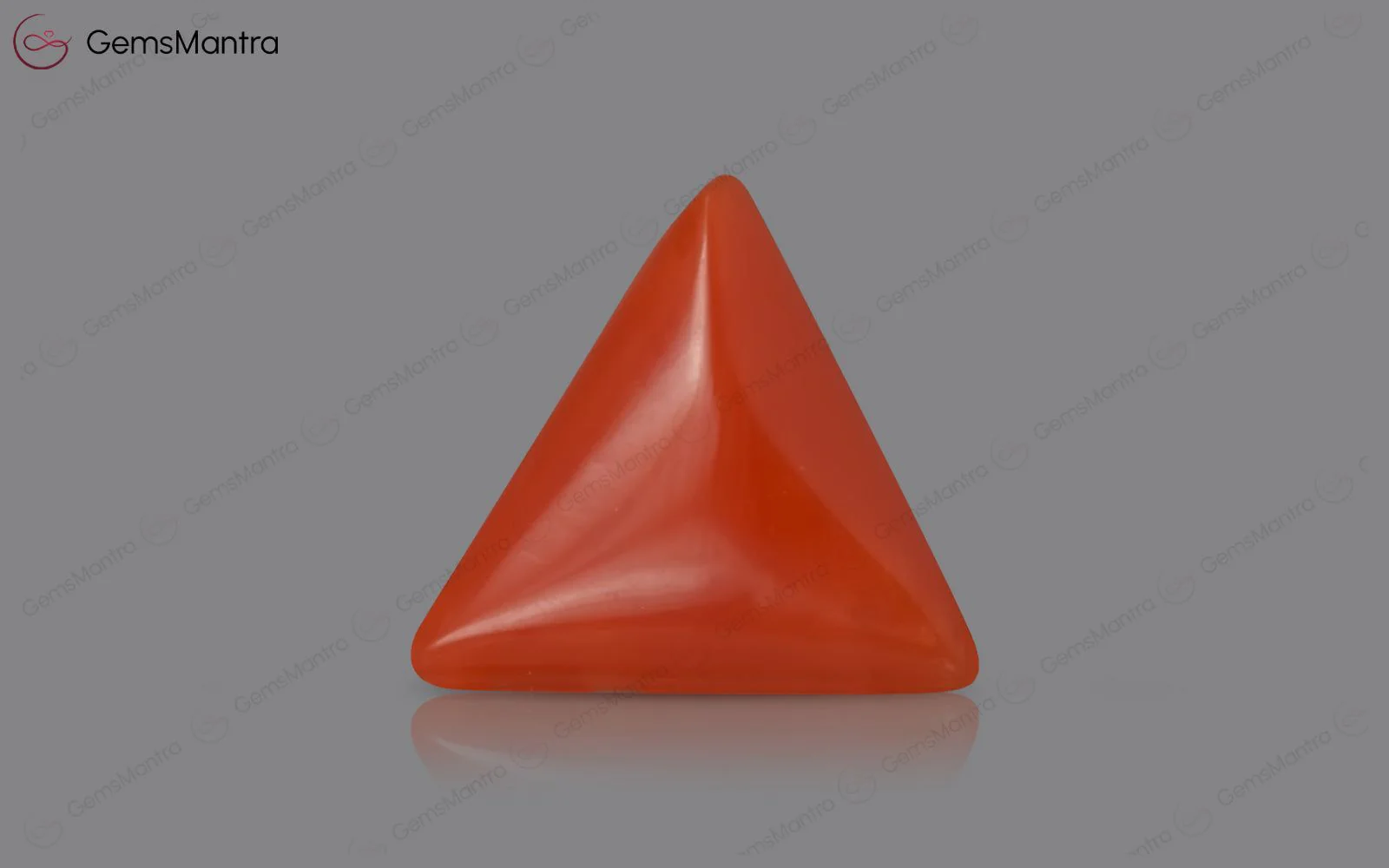 Red Coral - 3.58 Carats - Image 2