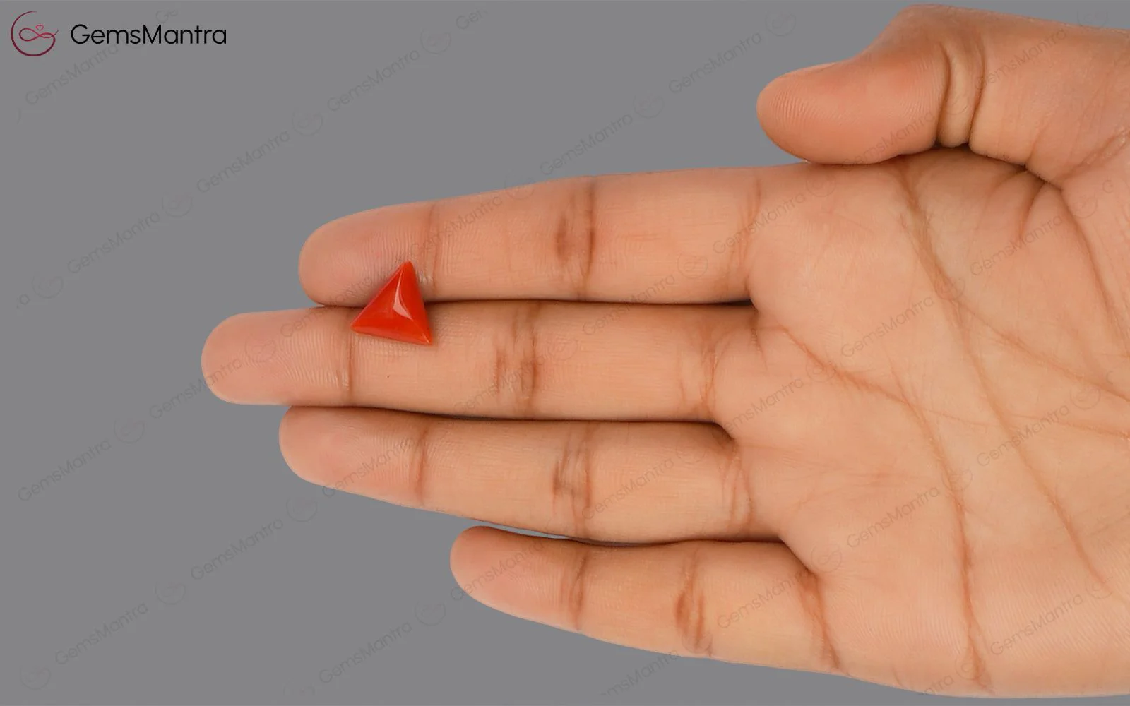Red Coral - 3.58 Carats - Image 3
