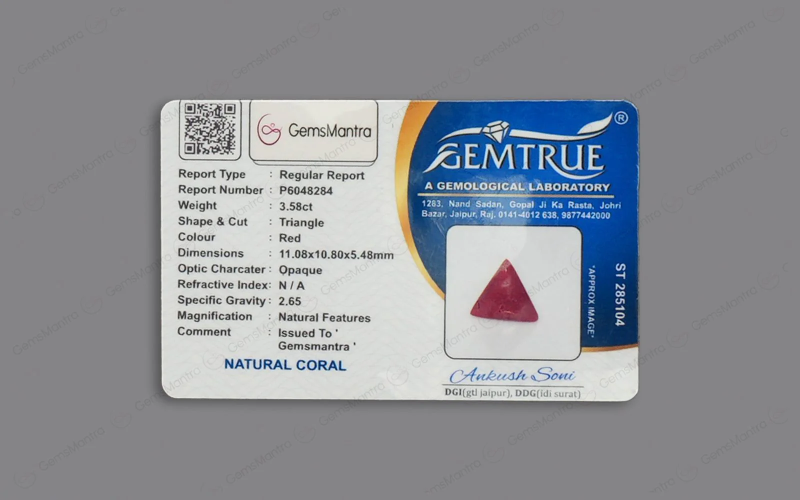 Red Coral - 3.58 Carats - Image 4