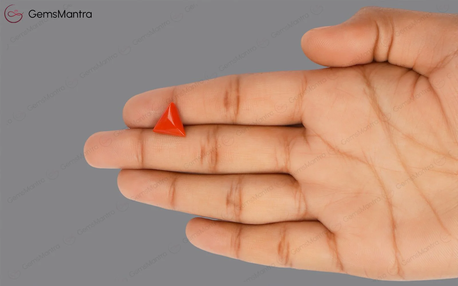 Red Coral - 3.92 Carats - Image 3