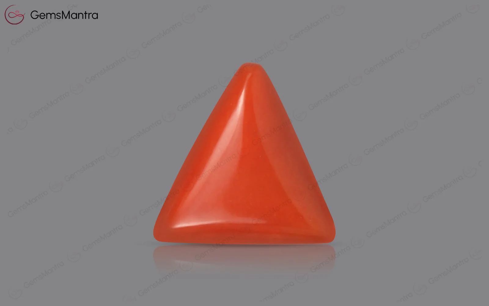 Red Coral - 3.66 Carats - Image 2
