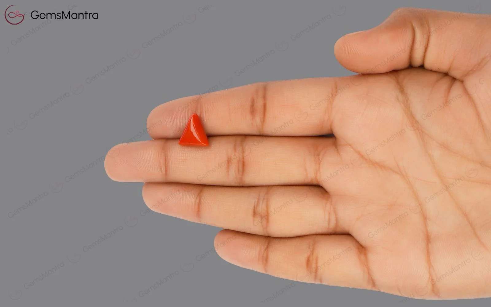 Red Coral - 3.66 Carats - Image 3
