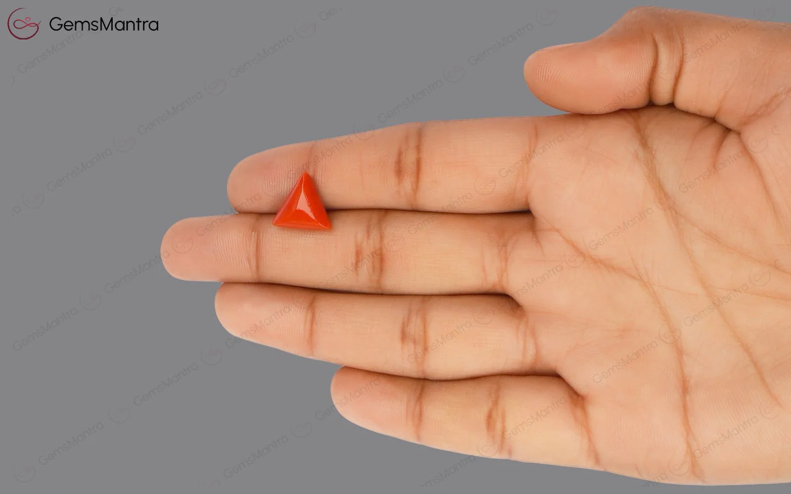 Red Coral - 3.85 Carats - Image 3
