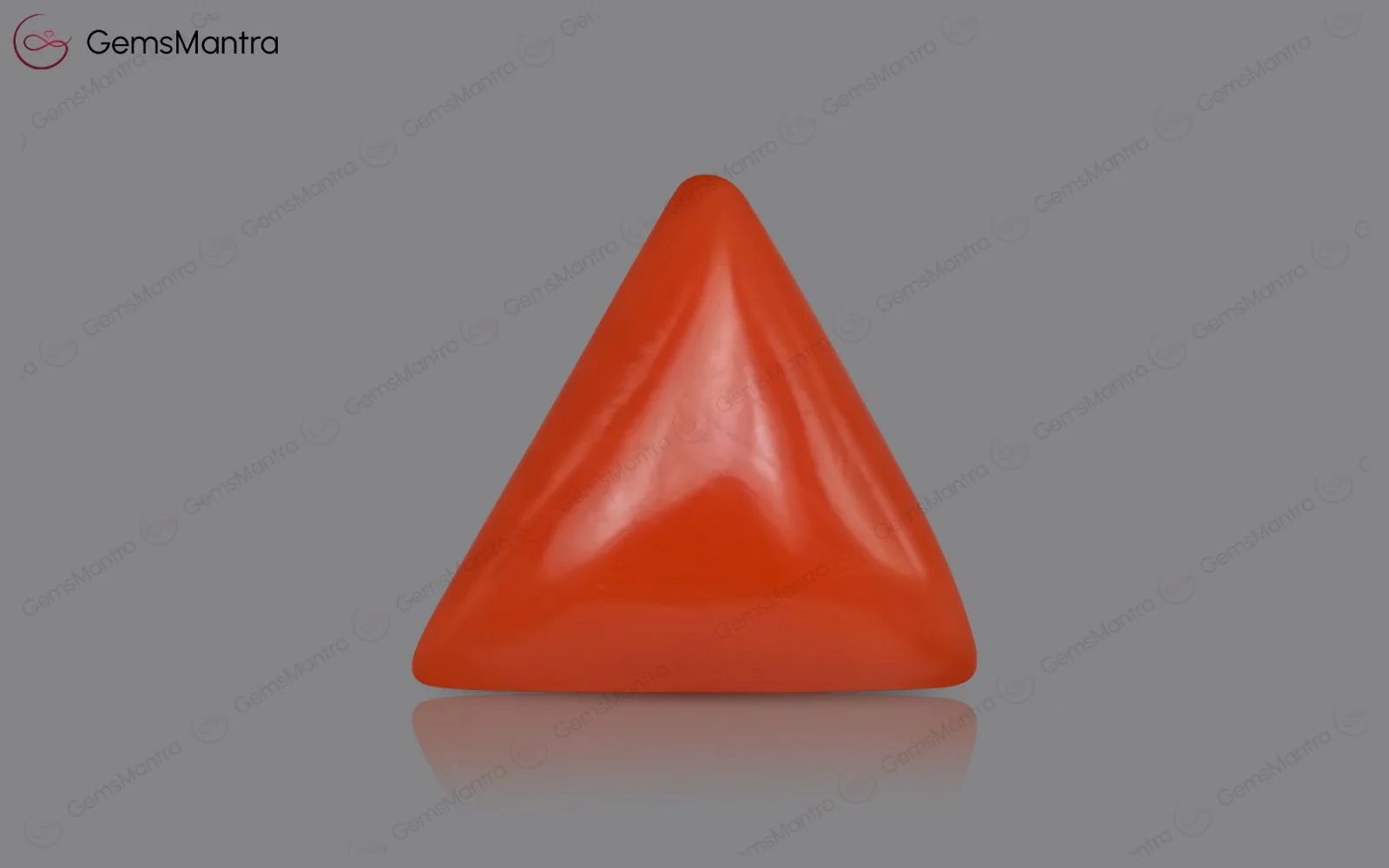 Red Coral - 3.46 Carats - Image 2