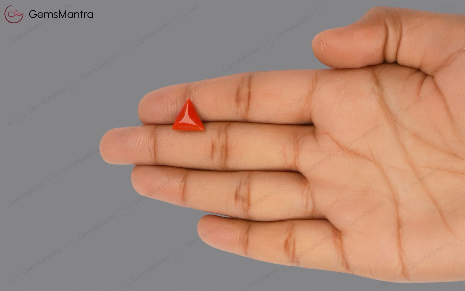 Red Coral - 3.46 Carats - Image 3