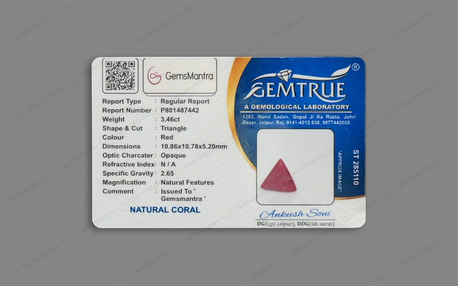 Red Coral - 3.46 Carats - Image 4