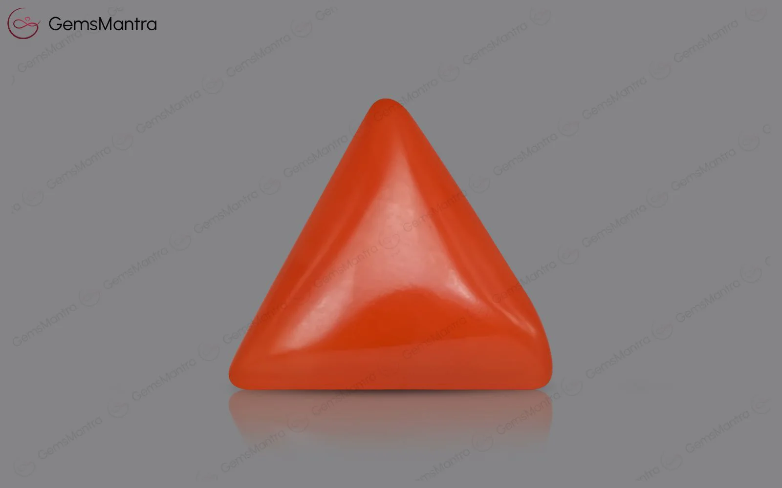 Red Coral - 3.52 Carats - Image 2
