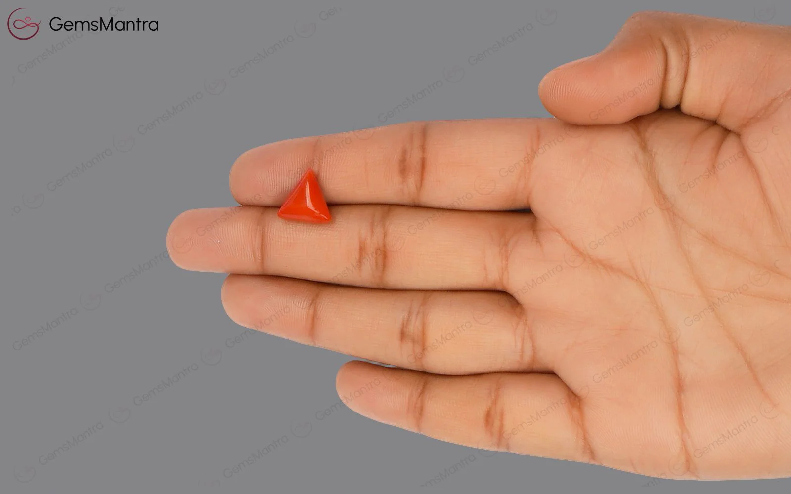Red Coral - 3.52 Carats - Image 3