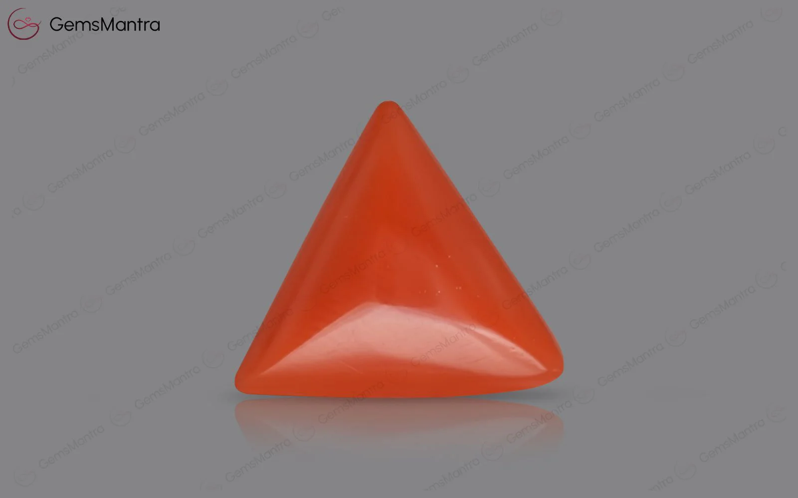 Red Coral - 4.04 Carats