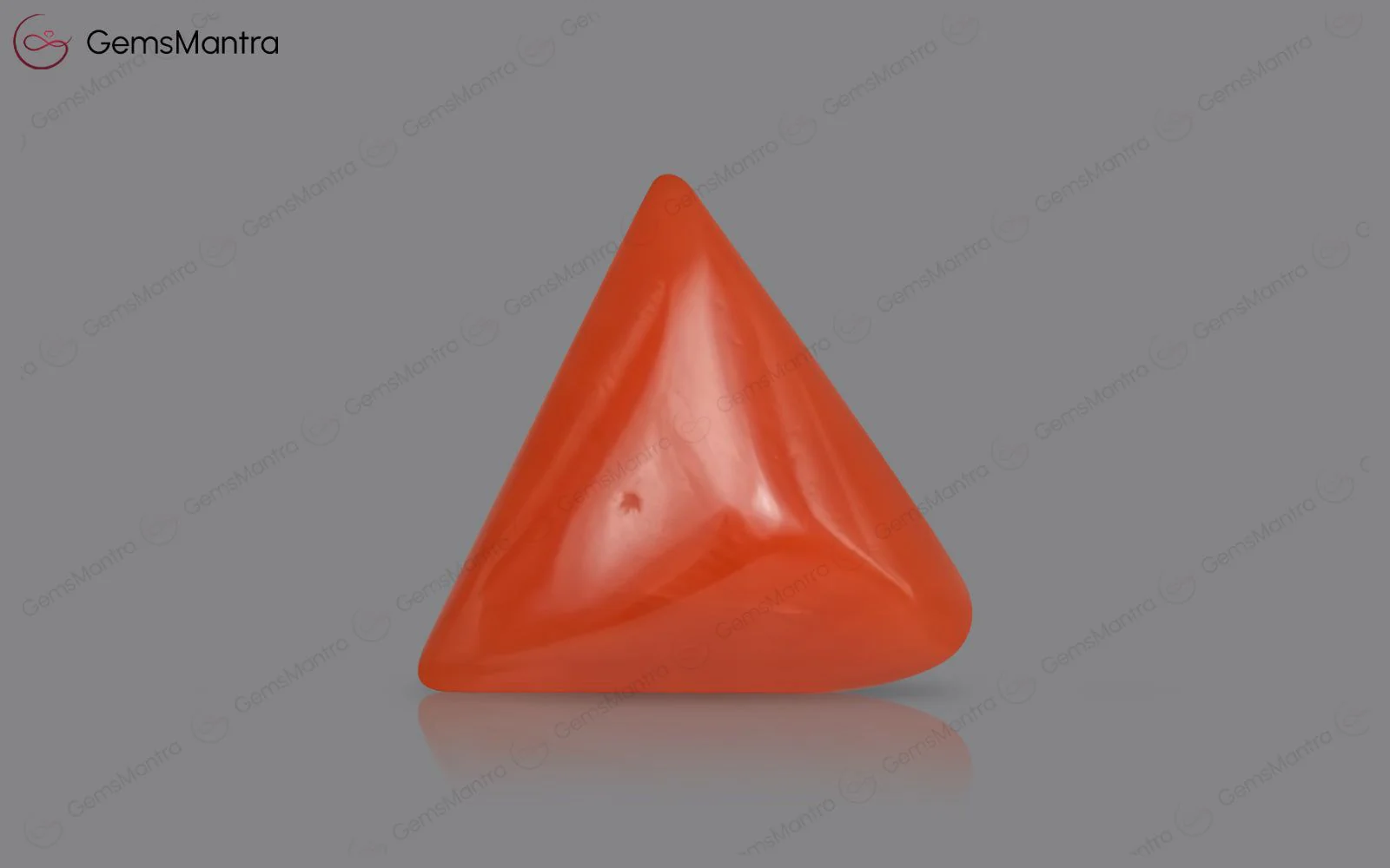Red Coral - 4.04 Carats - Image 2