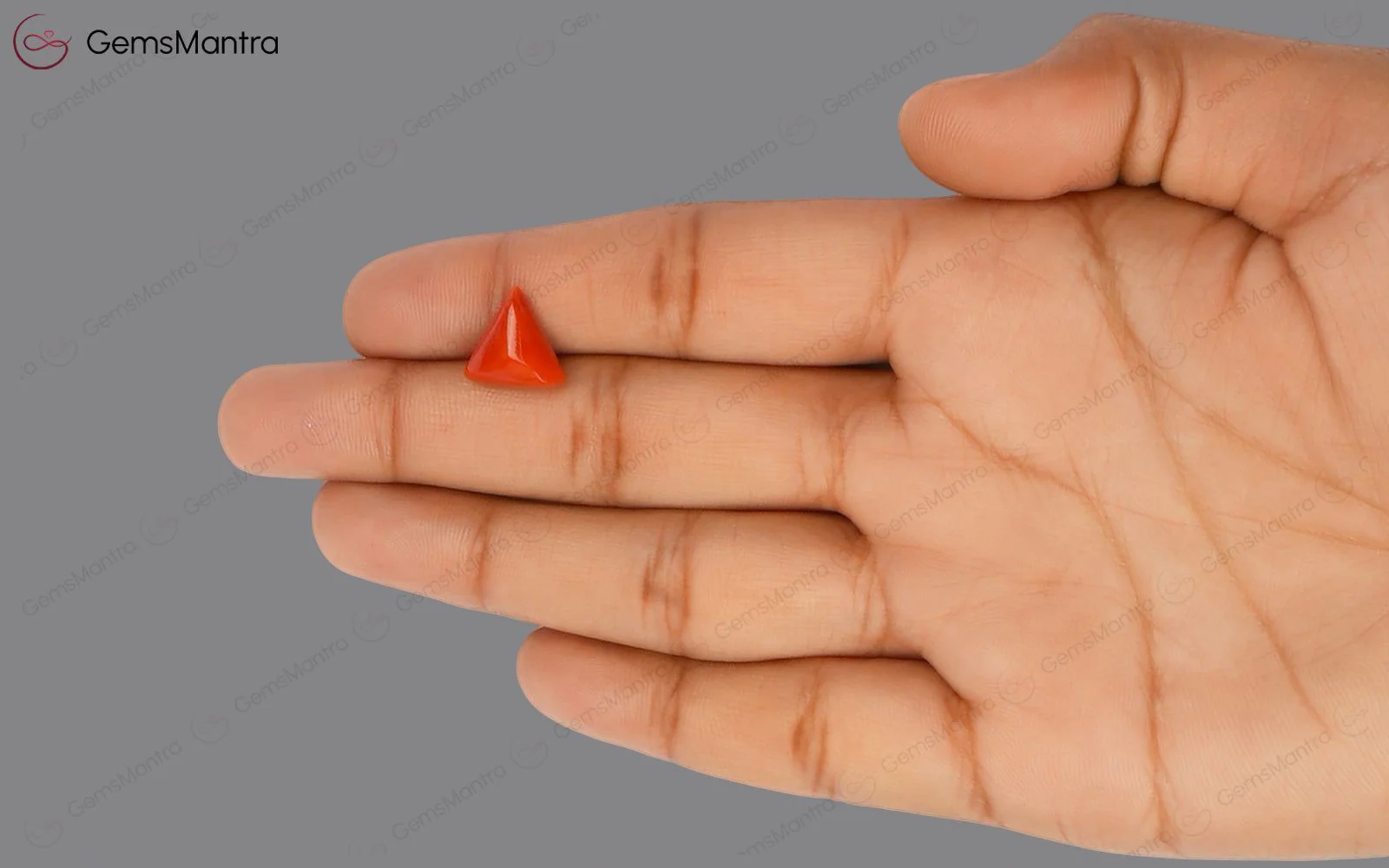 Red Coral - 4.04 Carats - Image 3