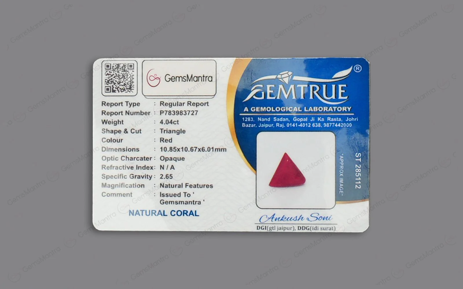 Red Coral - 4.04 Carats - Image 4