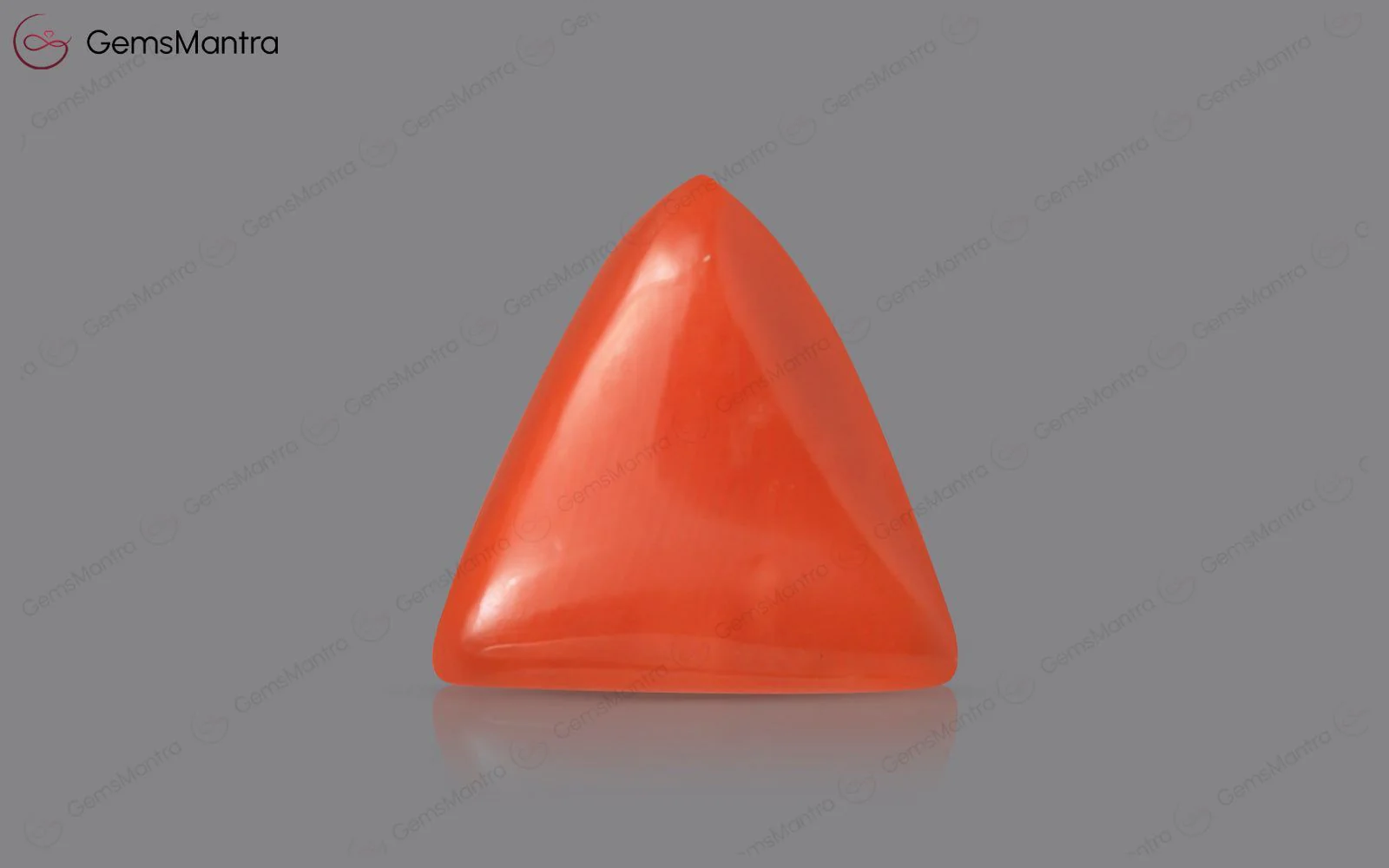 Red Coral - 4.06 Carats - Image 2