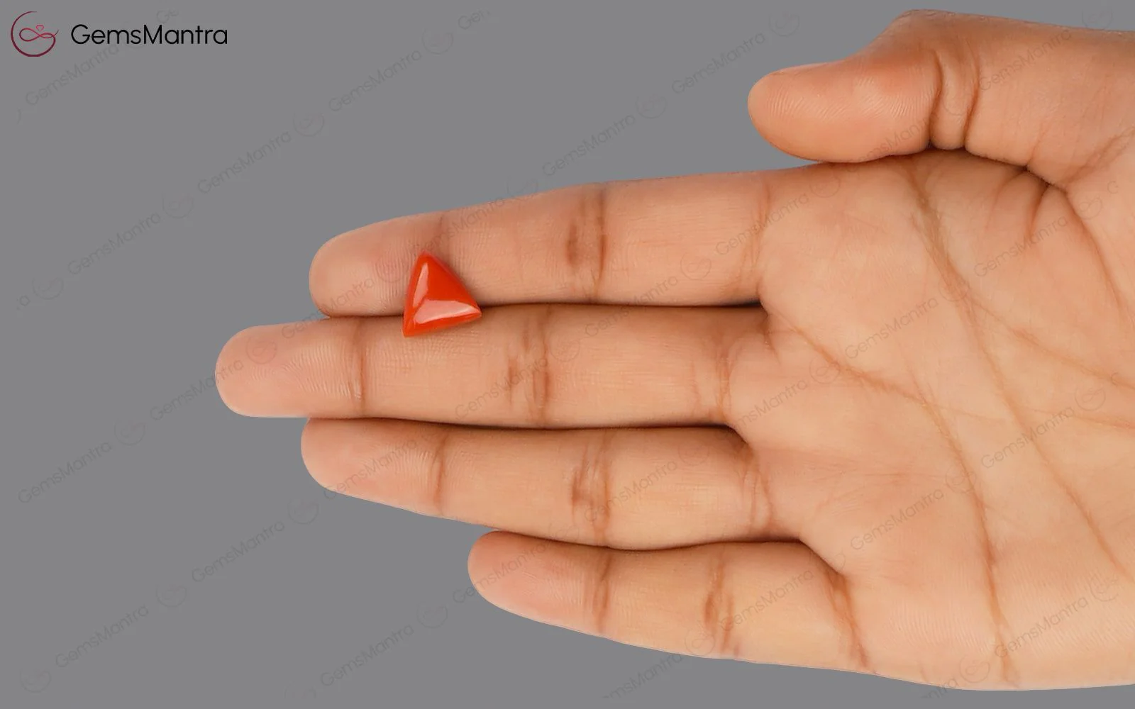 Red Coral - 4.06 Carats - Image 3