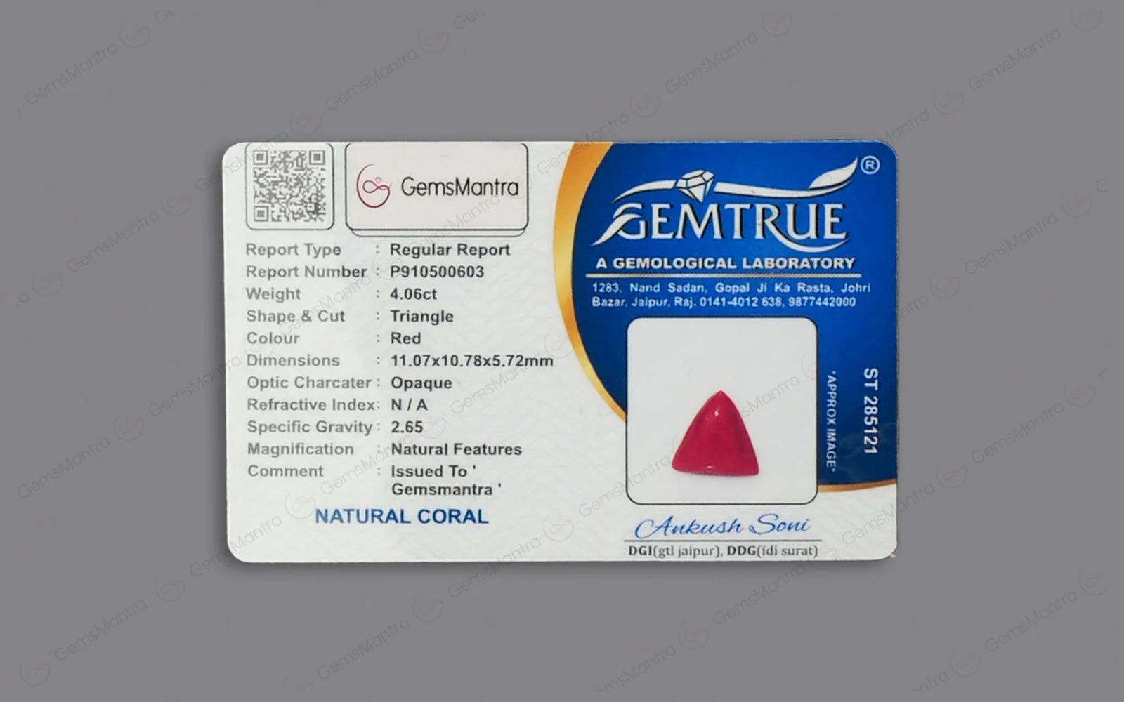 Red Coral - 4.06 Carats - Image 4