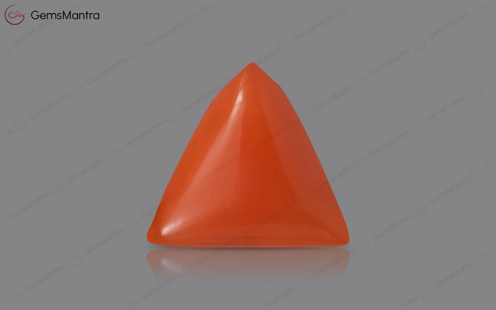 Red Coral - 4.15 Carats - Image 2