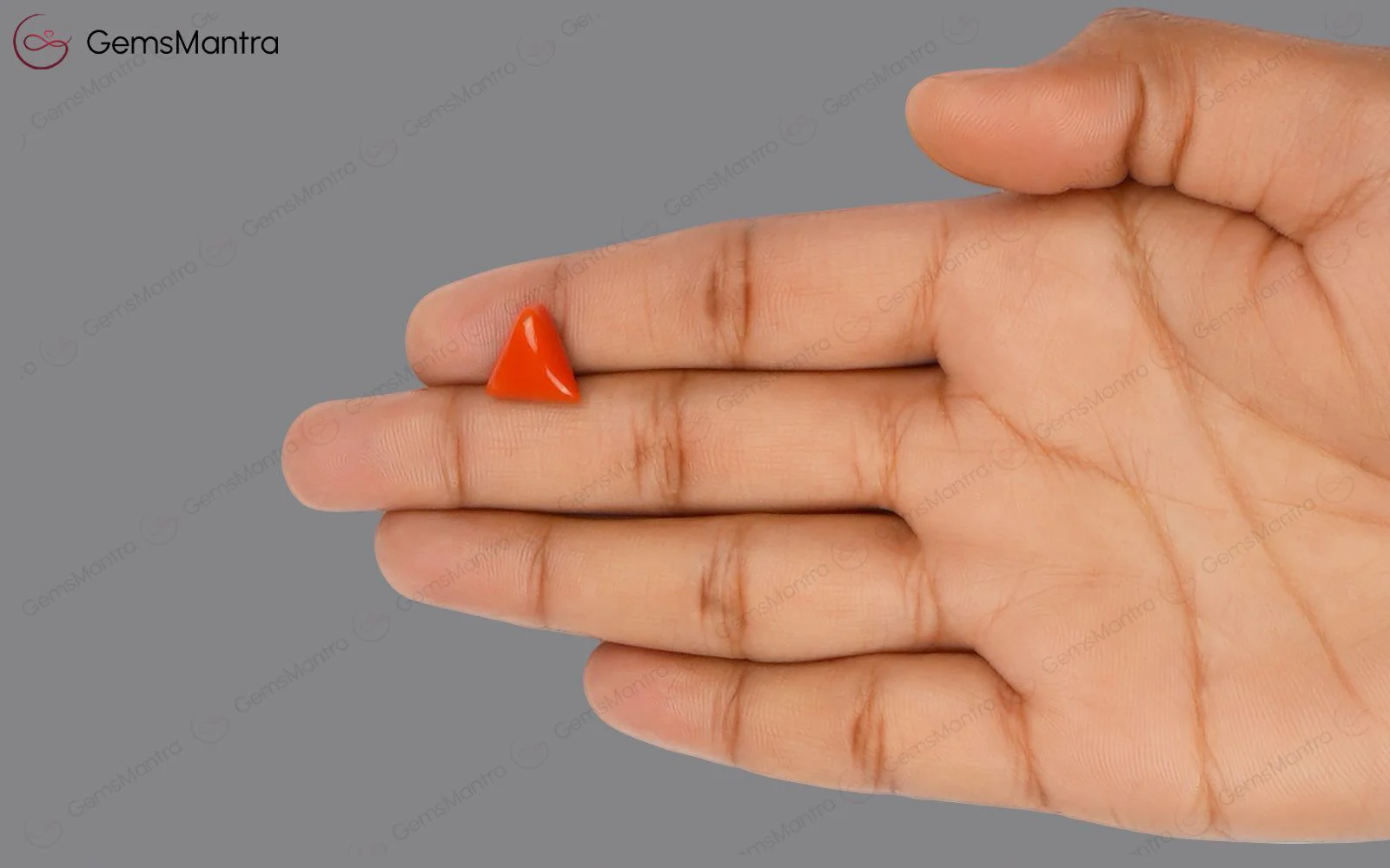 Red Coral - 4.15 Carats - Image 3