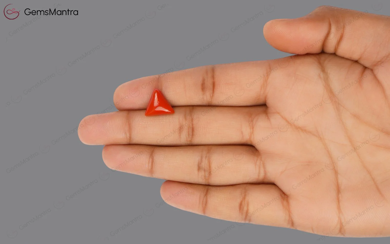 Red Coral - 4.15 Carats - Image 3