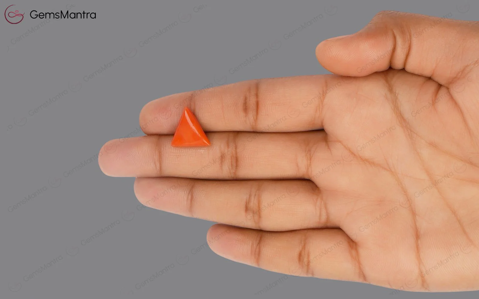 Red Coral - 4.73 Carats - Image 3