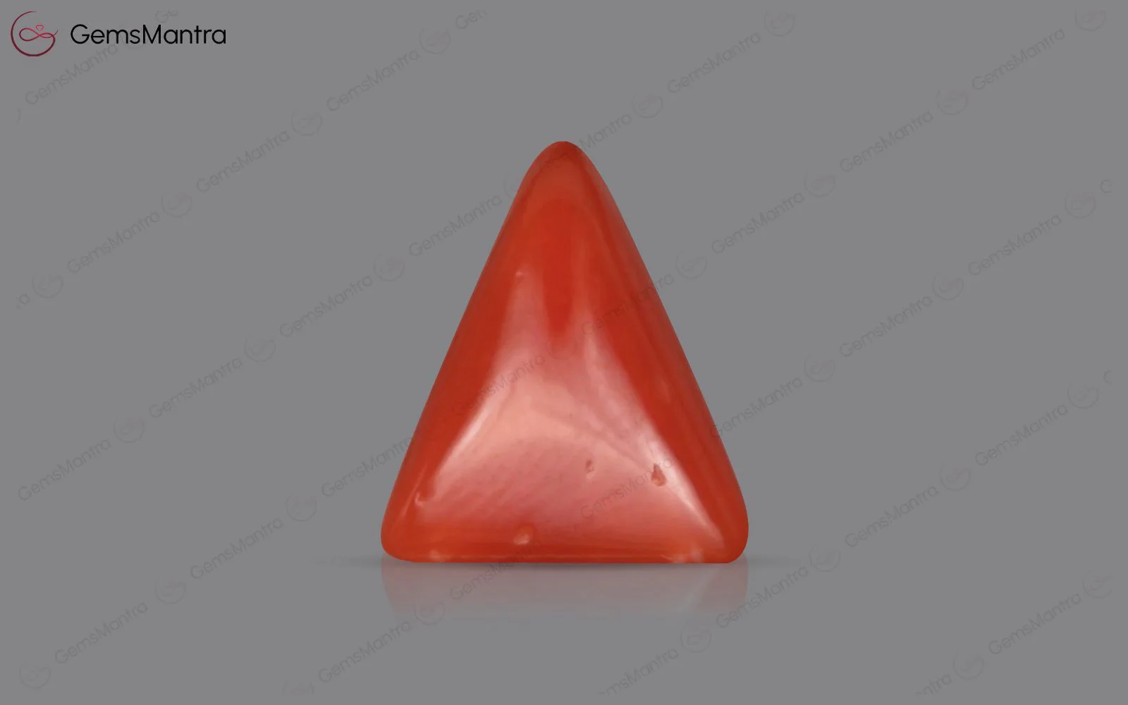 Red Coral - 4.49 Carats - Image 2