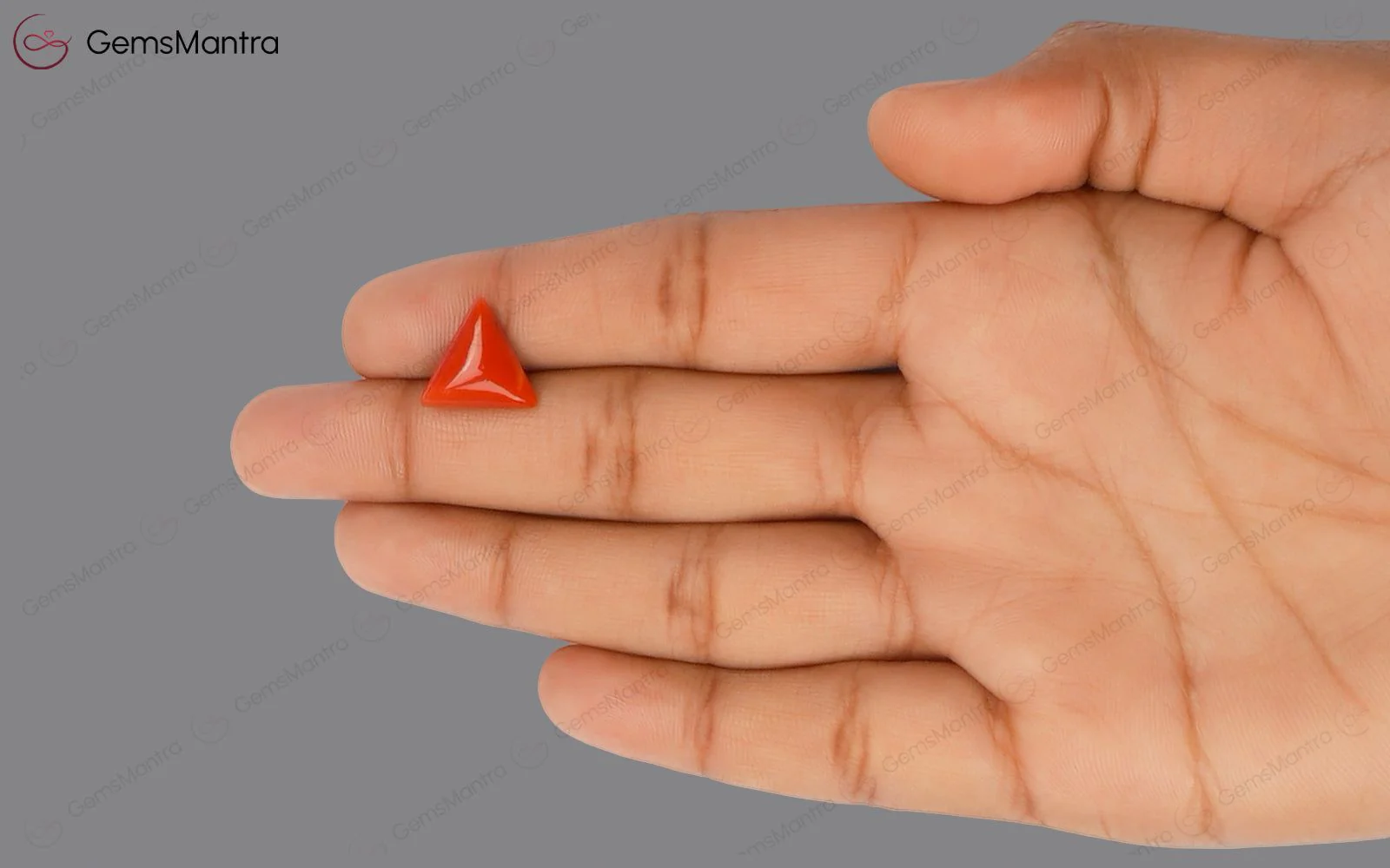 Red Coral - 4.49 Carats - Image 3