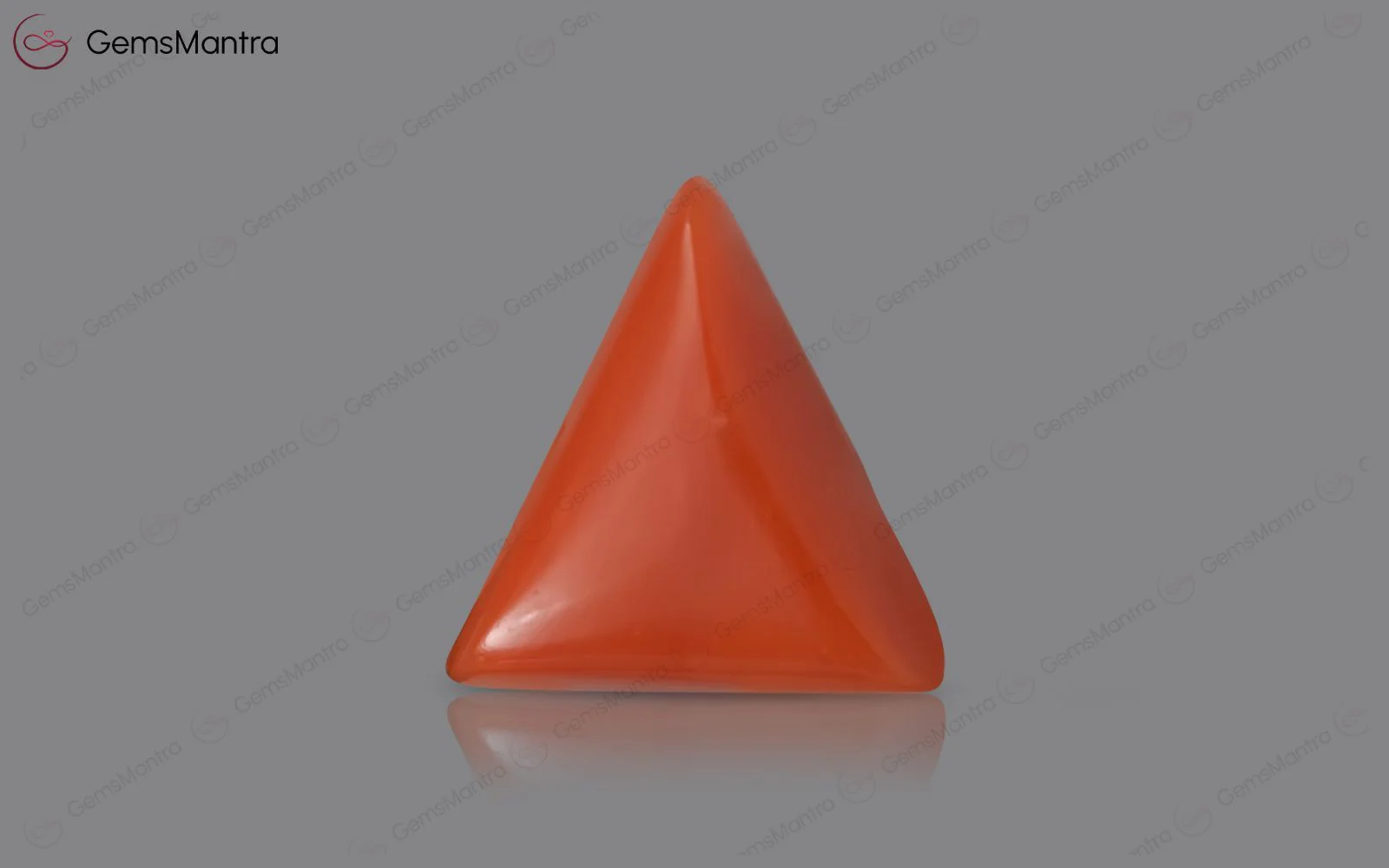 Red Coral - 4.49 Carats - Image 2