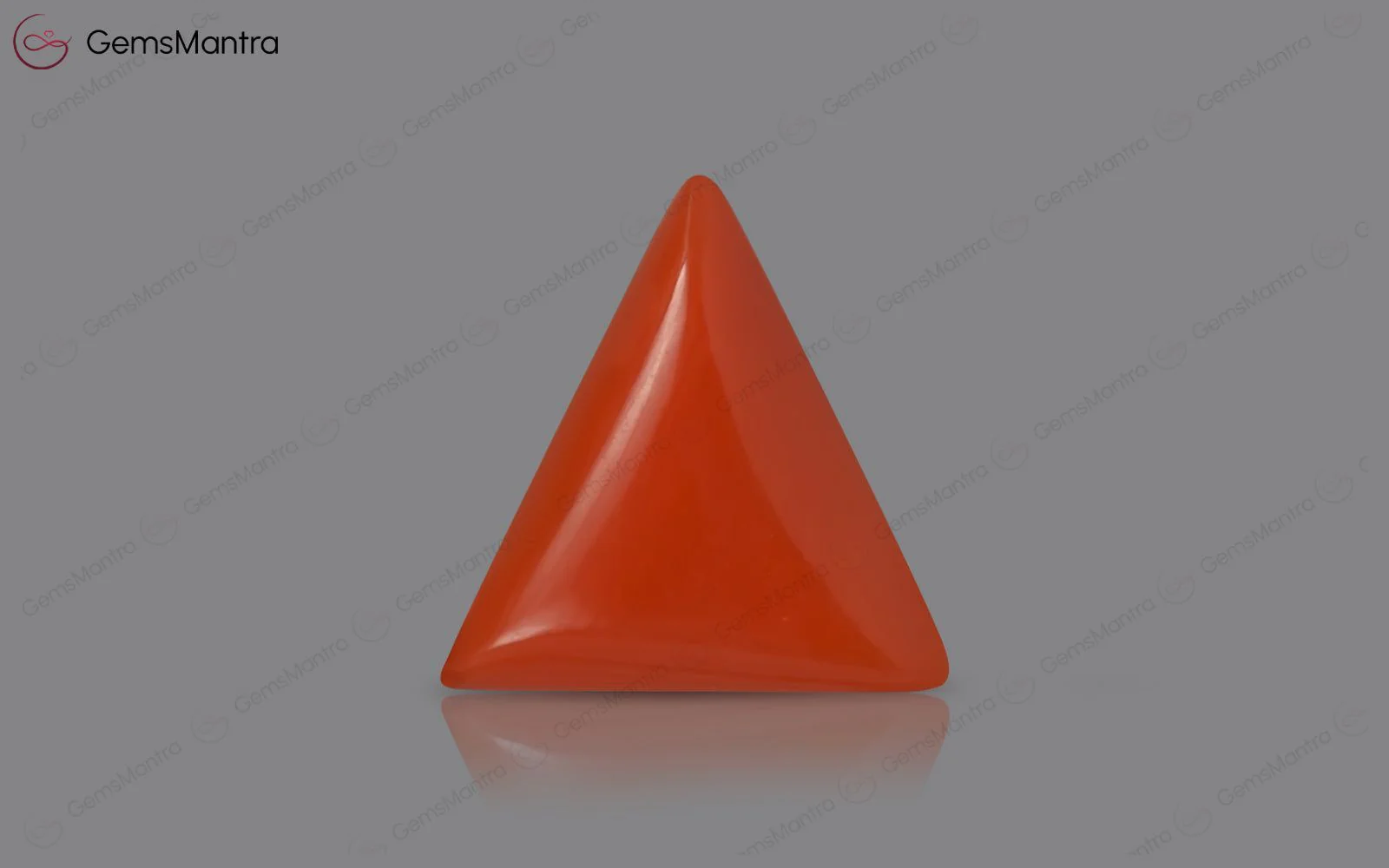 Red Coral - 4.87 Carats - Image 2