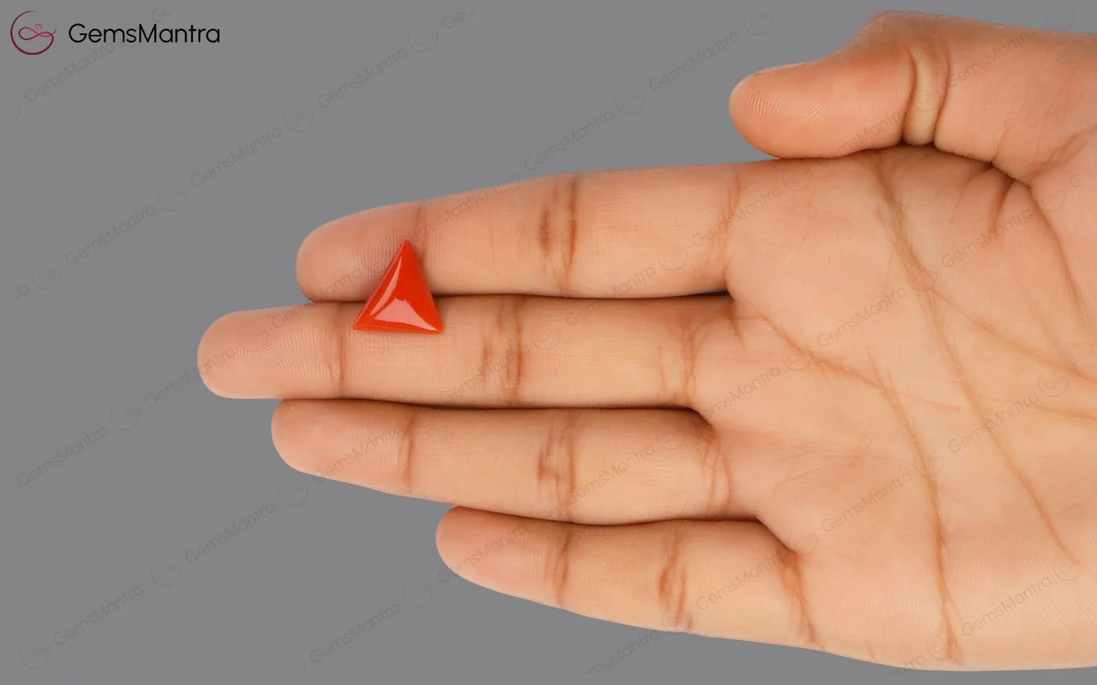 Red Coral - 4.87 Carats - Image 3