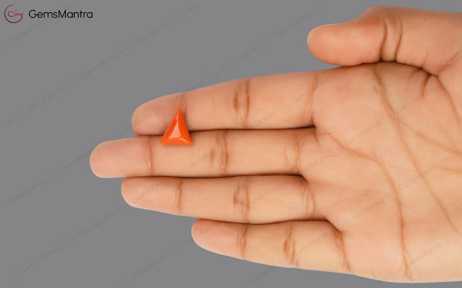 Red Coral - 4.88 Carats - Image 3