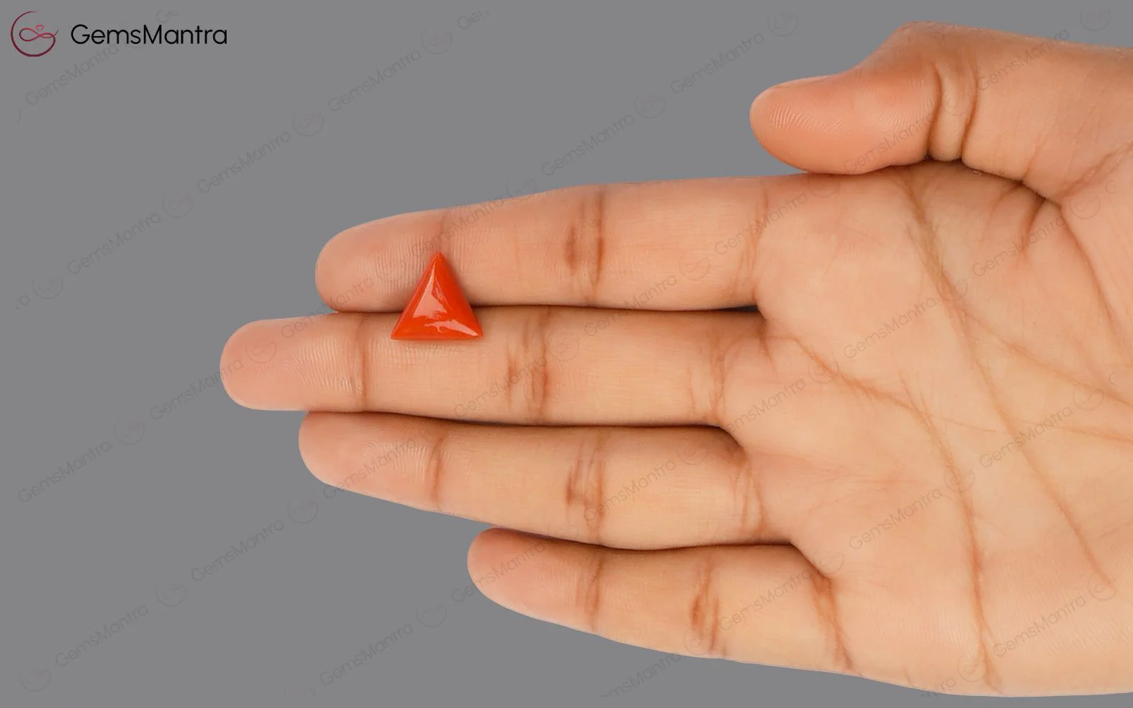 Red Coral - 4.44 Carats - Image 3