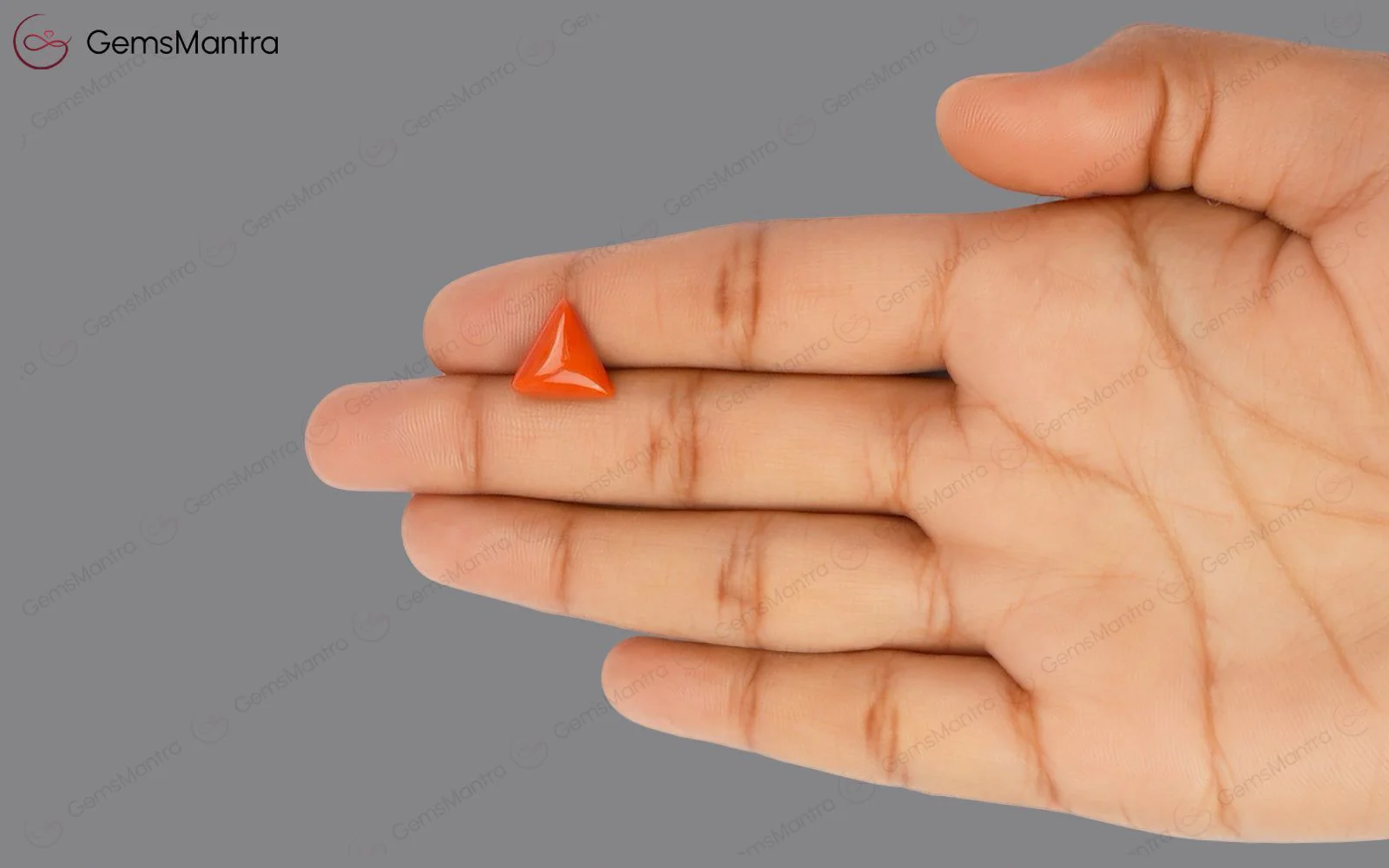 Red Coral - 4.52 Carats - Image 3