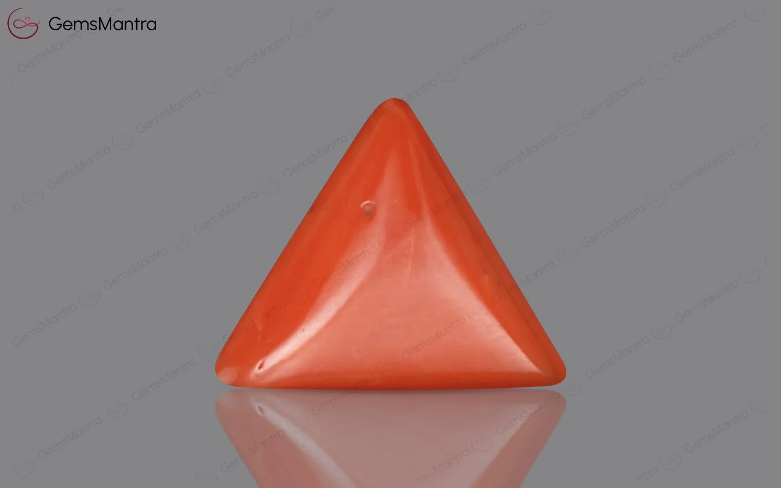 Red Coral - 4.88 Carats - Image 2