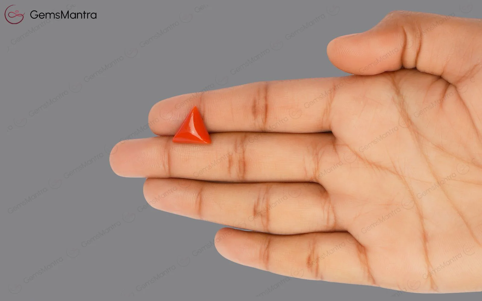 Red Coral - 4.88 Carats - Image 3