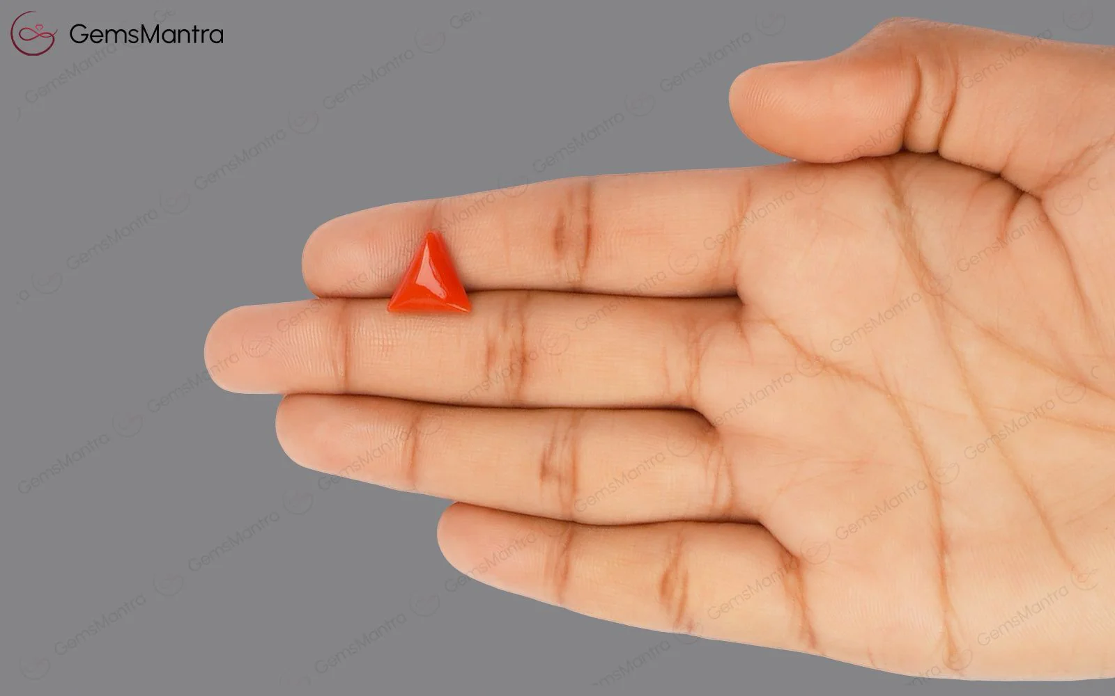 Red Coral - 4.4 Carats - Image 3