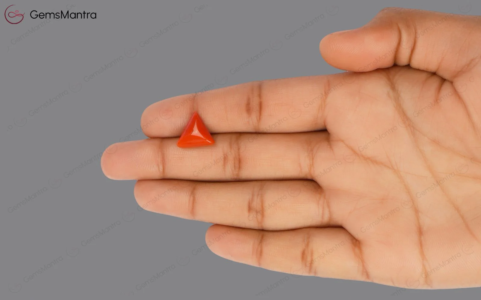 Red Coral - 4.38 Carats - Image 3