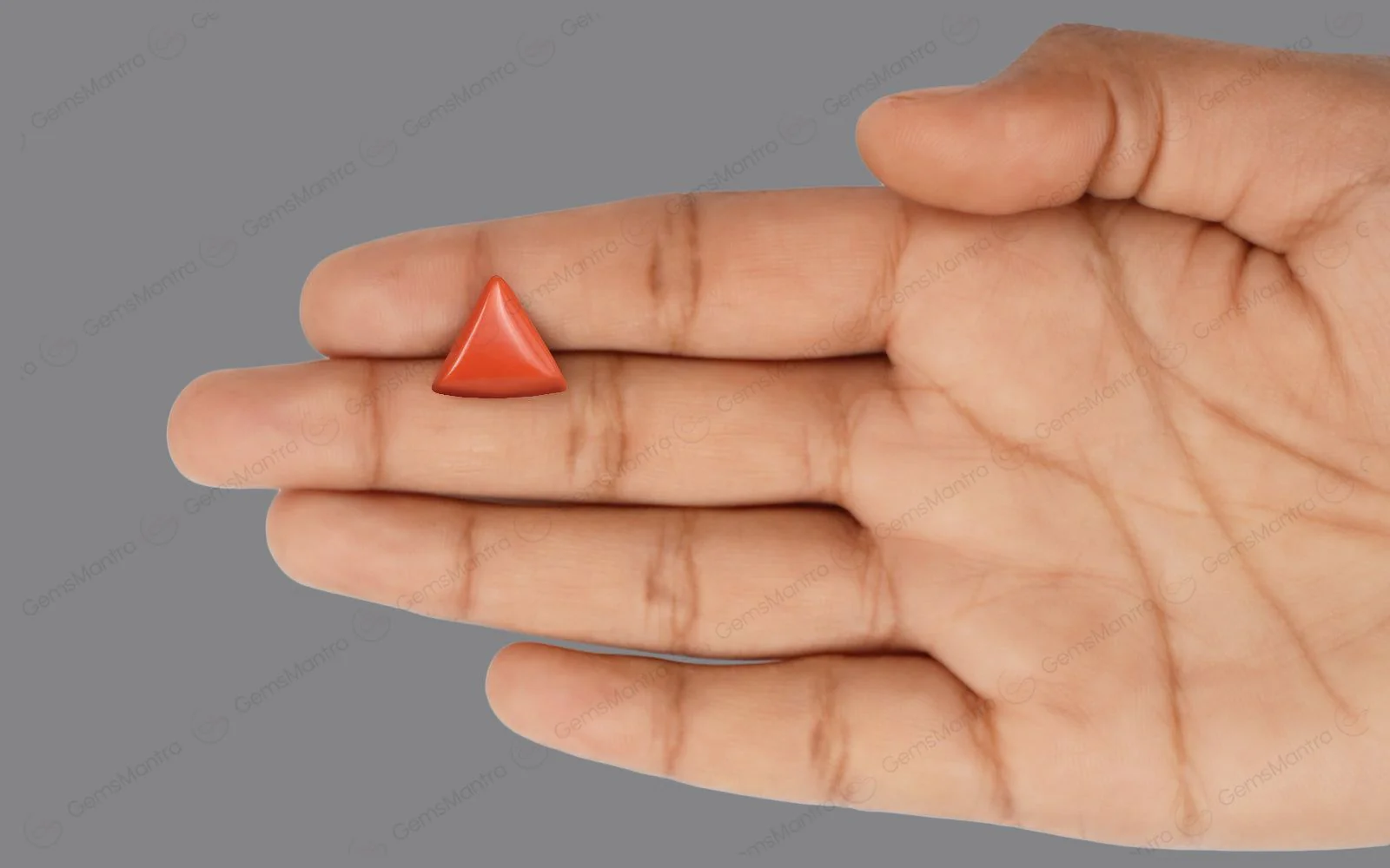 Red Coral - 4.72 Carats - Image 3