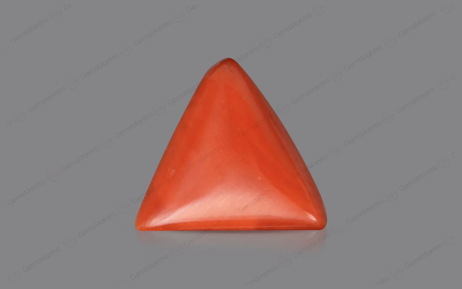 Red Coral - 4.94 Carats - Image 2