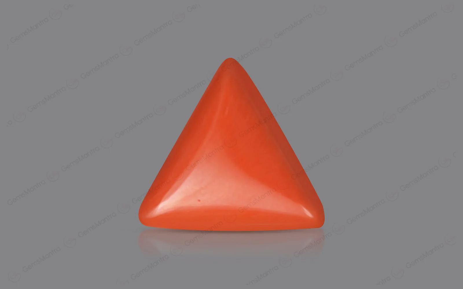 Red Coral - 4.57 Carats - Image 2